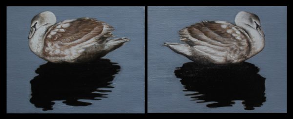 Swan Diptych