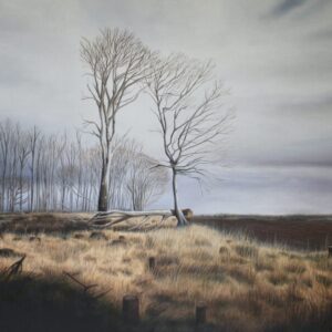 LANDSCAPES